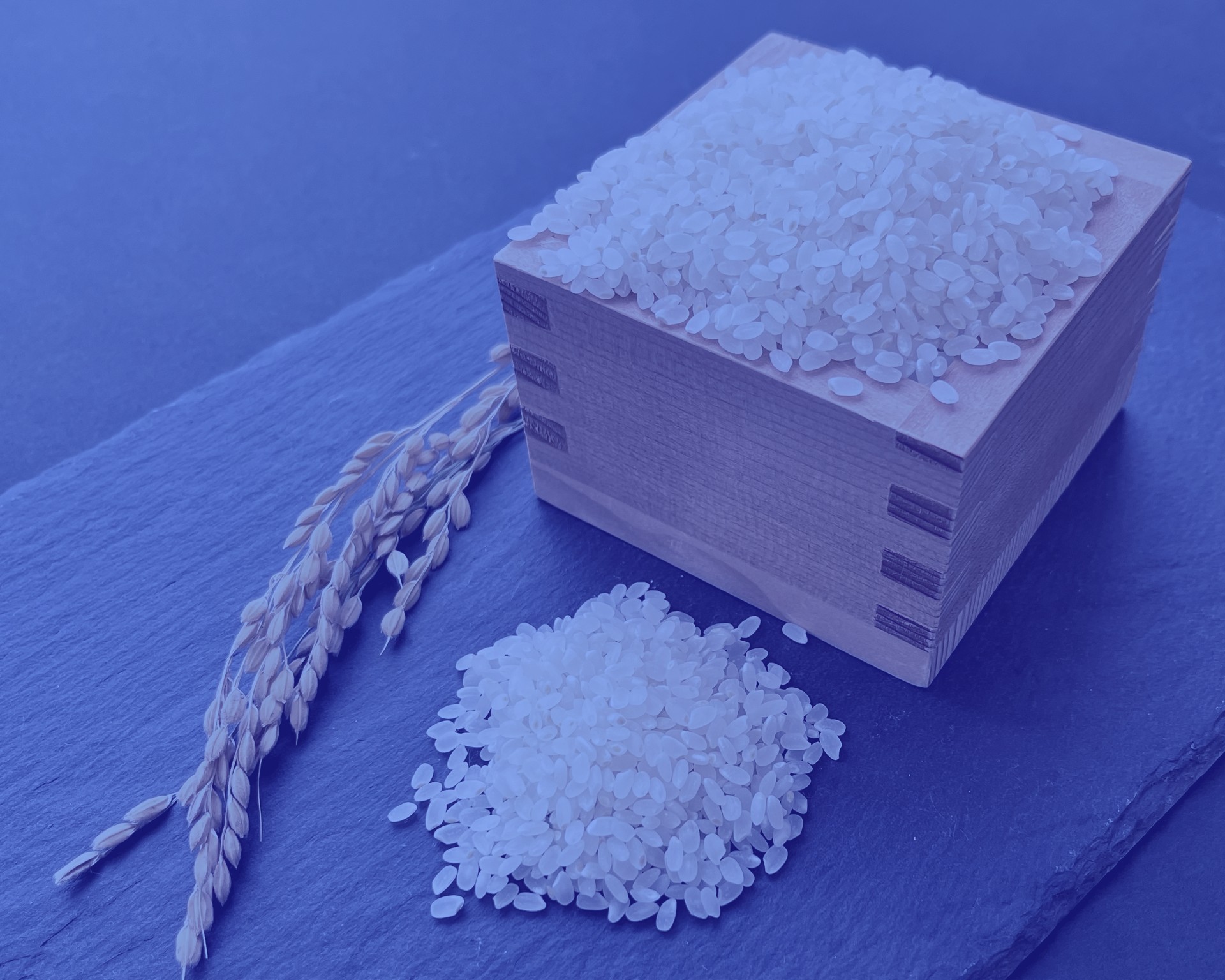 古米や古古米は本当にまずい?最新研究が覆す「お米の常識」